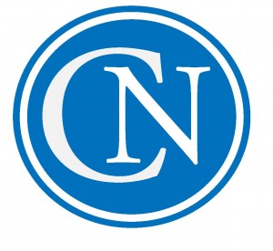 College Newsroom Logo